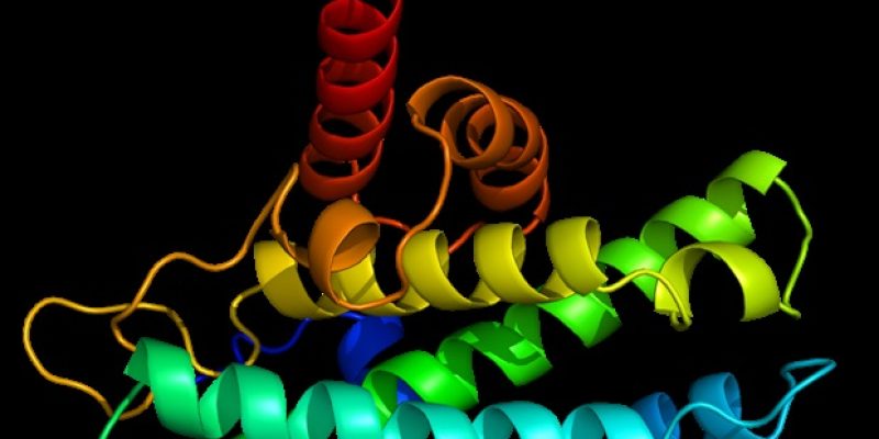 Studie unterstreicht einen immunologischen Mechanismus, der Long COVID zugrunde liegt