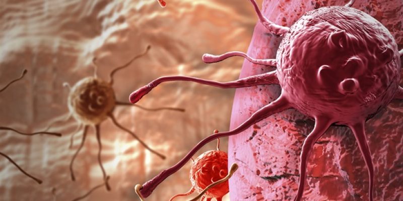 Die Glykananalyse verspricht eine frühzeitige Diagnose verschiedener Krebsarten