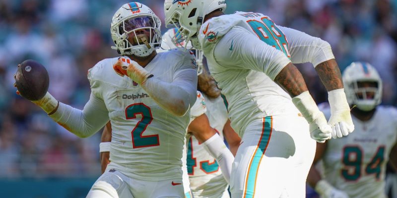 Die Miami Dolphins müssen ein gutes Team sein