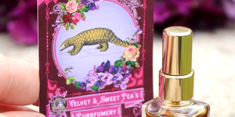 Retten Sie die Schuppentiere mit diesem Luxusduft von Velvet and Sweet Pea's Purrfumery |  Mein Schönheitshase