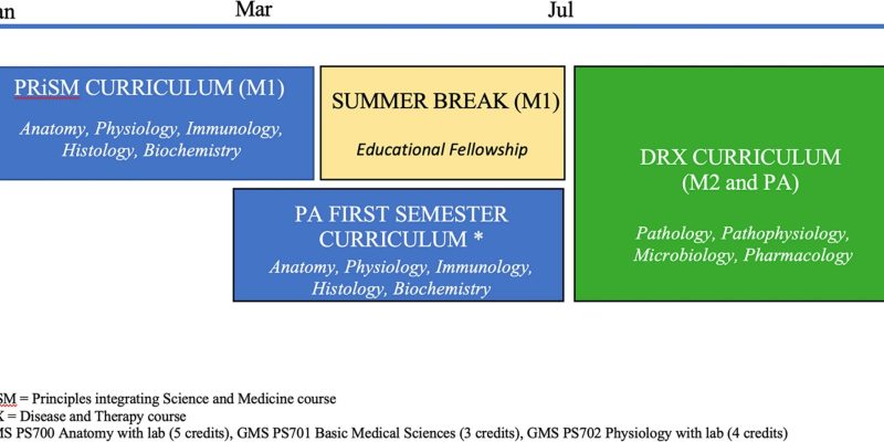 Es wurde festgestellt, dass eine kurze Lehrerausbildung Medizinstudenten besser auf die Patientenaufklärung und -kommunikation vorbereitet