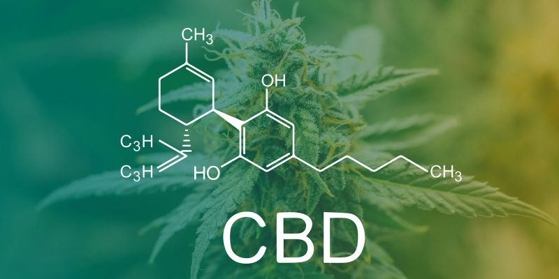 CBD ein Allrounder für Körper und Geist