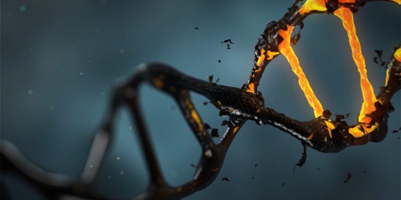 Enthüllung, wie ein uralter genetischer Eindringling in unsere DNA eindringt