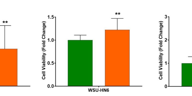 Studie zeigt, dass Passivrauchen während der Chemotherapie die Wirksamkeit der Behandlung beeinträchtigt