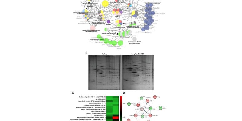 GV1001 reduziert Neurodegeneration und verlängert die Lebensdauer im Mausmodell der Alzheimer-Krankheit