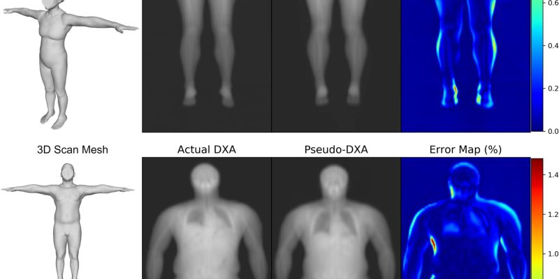 Forscher kombinieren moderne Geräte für eine höhere Präzision bei der Analyse der Körperzusammensetzung