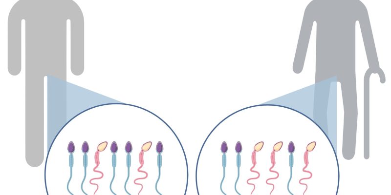 Forscher entdecken neue Hinweise auf Zusammenhänge zwischen dem Alter der Eltern und angeborenen Störungen