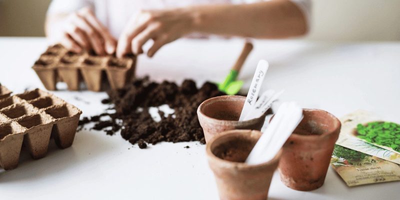 So starten Sie einen Garten 101