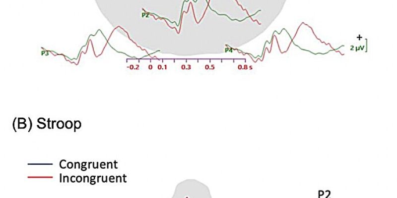 Die Studie legt nahe, dass die neuronalen Korrelate des Gedankenschweifens je nach Aufgabe unterschiedlich sein können